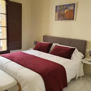 Casa Sevillana Centro Homestay